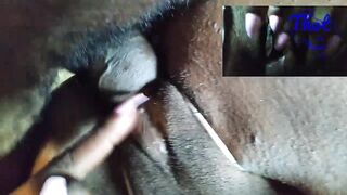 Thot in Texas - DJ Bang - South Side Holding A