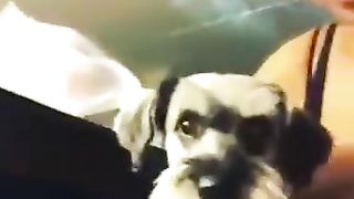 A.A.C. a True Ebony Goddess