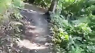 Stranger gagging getting screwed in the woods and nearly got caught