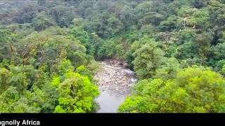 Bangnolly Africa - Jungle Sex