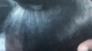 Sloppy head in dollar tree parking lot