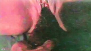 Making Moist Fantasies Cum True