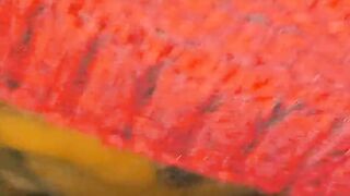 Bust all over my thots face