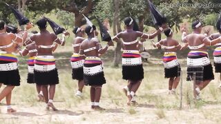 Breasty Afro babes topless dance two