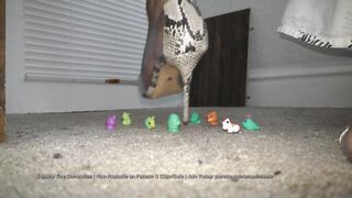 amaninheels Biggest Crossdresser Squishy Petite Domination