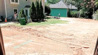 When The Dogs Away The Cats Will Play