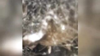 Giving A Fan Sloppy Seconds