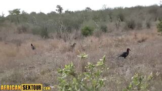 Wild twat screwing with sexually excited Afro teen with ideal large booty Awahle