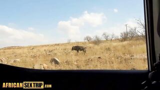 Sexually excited black hotty has 2 large reasons to stop driving to go to a hotel