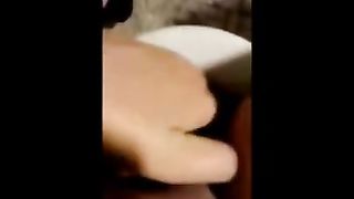 Pussy Compilation