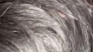 big beautiful woman BLACK FLOOZY GETS FOLDED