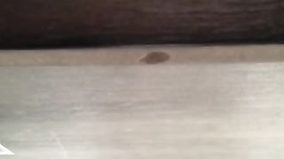 So Wet almost Caught at the Table