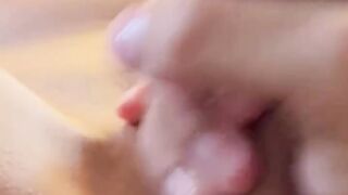 My jock is shy with my neighbour