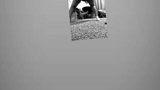 See majesty throw booty