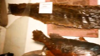 From the INEDIT in ebony Africa, 2 tourists bang publicly in a park during their passage in terms of other tourists. An bizarre open incredible scene.