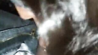 Masked Black Giving Car Head