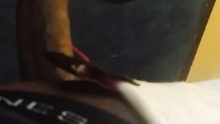 Black popoff giving insane head.