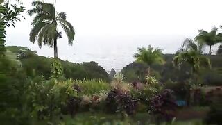 Sexy Black Maya drilled in tour