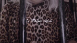 Dominatrix-bitch Mistresse April - The latex serf