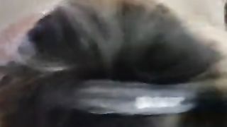 Ebony Wife Swallow Cum