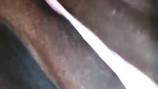 Kewl Black mamma Haïtian twat