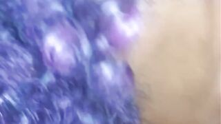 Purple Hair Black Swallows three (CIM)