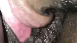 Throwback to when I ate her Preggy Twat