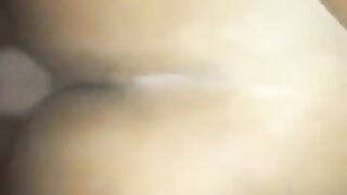 Black honey taking back shots