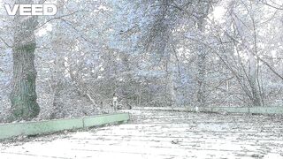 Park Web camera Hikers Public Role Play Manhattan Female