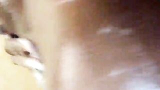 Howdy Black Kitty II