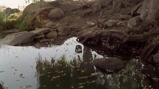 Mexican step Brother and Sister