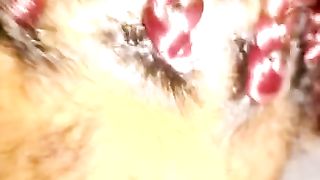 Jamaican Beauty Loves to Suck BF Cock