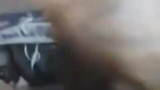 BBC wanking and nutted