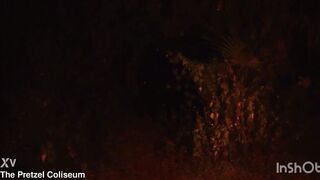 Hawt big beautiful woman Large Butt Black Last Cutie Captured By Masked Jock-Slinging Slasher And Banged Like A Doxy On Halloween