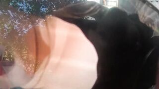 I bang my ally's wife each time her cuckold spouse leaves the abode; the whore always orgasms when I eat her butt.