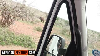 Hawt Natural Black Babe Unfathomable Mouths Giant Penis Euro Tourist In Safari Journey