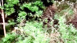 Donna Wetlands: A Pee Adventure