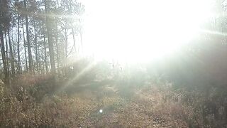 CREEPY SCARY WOODS!!!!