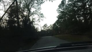 RENCOUNTER UP WITH A CELEBRATED ACTRESS TO SCREW HER!