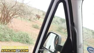 Amateur Black Chick Banged Unfathomable POV From Behind By Massive Cock White BF