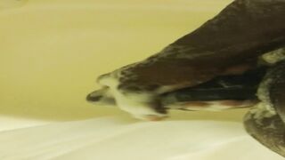 Concupiscent in the shower