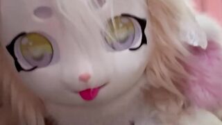 Recent sexy bunny fur