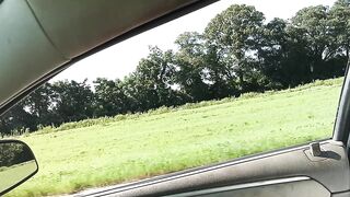 THA CHARMING STATE OF KENTUCKY!