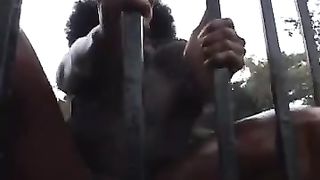 EBONY MUSCLED GIRL FBB BODYBUILDER Lupus23