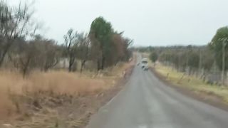 african safari outdoor fuck