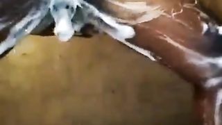 Egerton University Leaked Tape