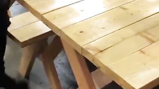 FBB Armwrestling Overpowers Dude