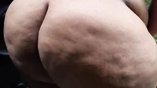 BBW Donkey Assspread