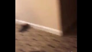 Kodak black wild asf on IG live