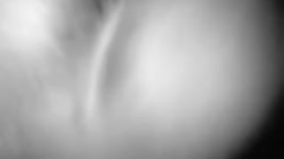 Bustin up Slim Thick Team in Lakeland Polk County Fl